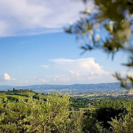 Le Colombe Assisi