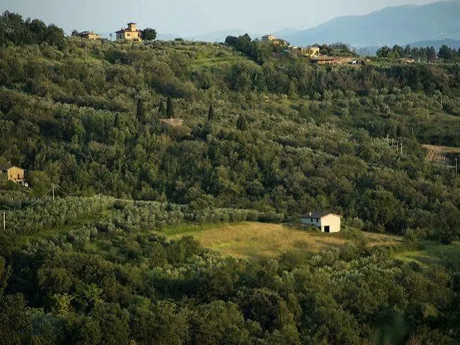 Farma Le Colombe Assisi